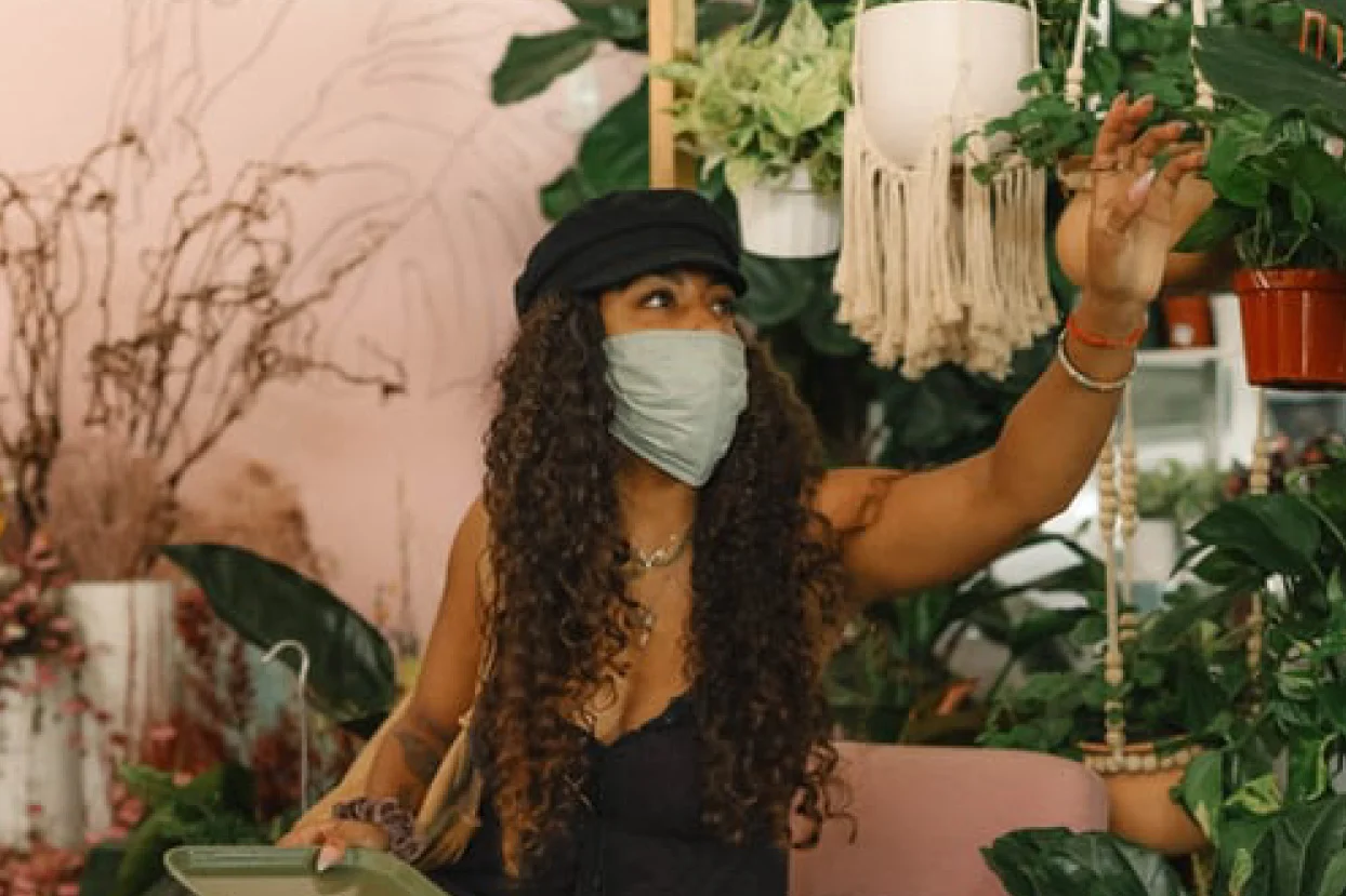explicando botanica