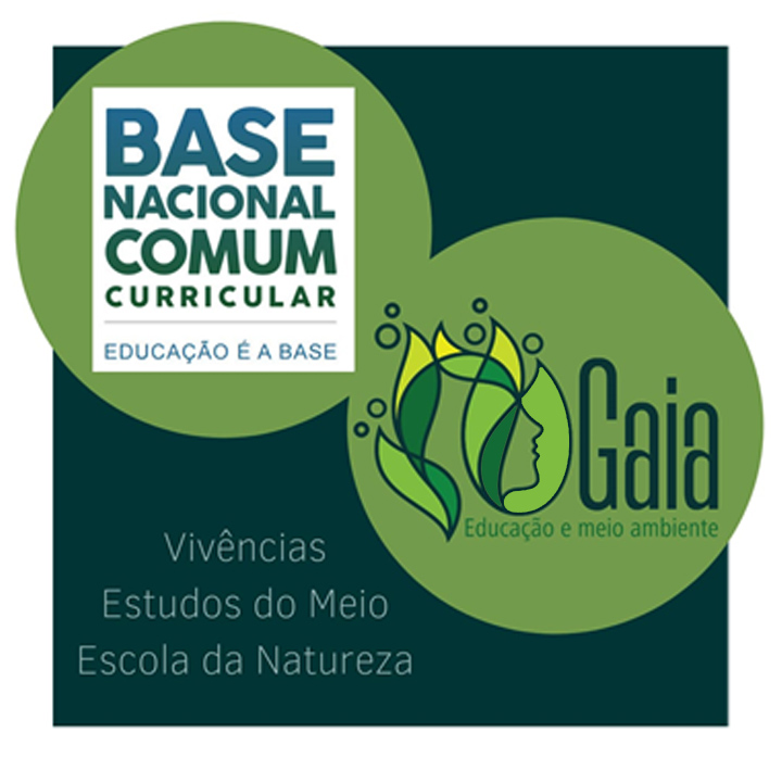 Gaia e os Desafios da Base Nacional Comum Curricular (BNCC)
